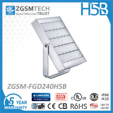 Luz de inundación del LED de alta calidad y barata de 240W desde 40W a 240W